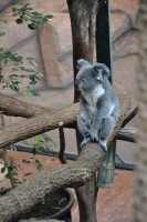 /album/wild-animal-sanctuary/dsc-0340-jpg1/